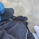 투어플레저 | [서울빵집투어]박뚜기 소금빵 '피킹플레져' 데시벨...평일 오픈런 웨이팅, 솔직후기,성수/뚝섬 카페맛집)