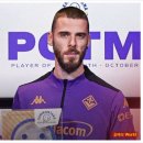 피오렌티나 이미지