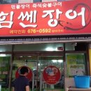 여자만힘쎈장어 이미지