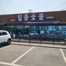 일등돼지 이미지