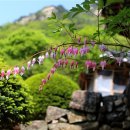 쌍바위소 앞 이미지