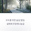 양평 설매재 자연휴양림 무장애나눔길: 모두를 위한 숲길 완벽 가이드