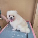 하늘;봄학원