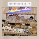 2024 베이비페어 코베 수원 메쎄 베페 코유로 방문 후기