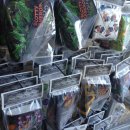 씨앤에프(CNF) 이미지