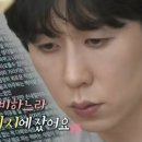 코쿤 이미지