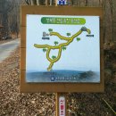 산림욕장 이미지