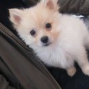 위드동물병원 이미지