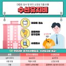 모아수선 이미지