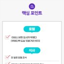 전일관광 이미지