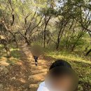 황령산 바람고개 | [부산 대연동] 황령산 혜남학교~사자봉 등산, 이조갈비 리뷰