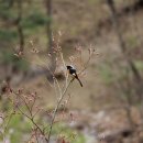 용문산마을 이미지