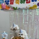 두유 개린이집 이미지