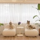 바비헤어샵 이미지