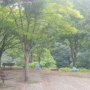 기성계곡 이미지