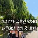 유명 | 후쿠오카 유후인 먹거리 내돈내산 후기&추천 | 유명한 건 다 먹어봤습니다