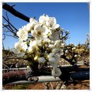 강대농장 이미지