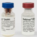 체이스약국 이미지