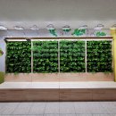 대구금포초등학교 이미지