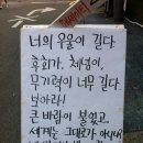 22대 총선 관련 트윗 소소하게 모아보기 이미지