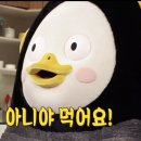 철수네왕족발 네이버블로그
