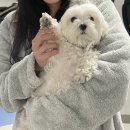 더불어사는터 이미지