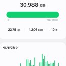 모이라짐 | [단기알바] 양지 올리브영 물류센터 파지 알바 후기/양지 올리브영 여자 파지 후기