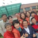 낙산초등학교 이미지