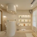 비키펫 살롱 이미지