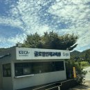 주천면-7(도천교 밑) | [wfv - 9편] - World Friends Village 후기 및 정보 스