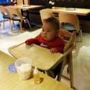 열린동물병원 이미지