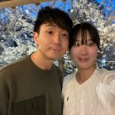 경의선 | 서울벚꽃 경의선숲길 벚꽃 상황 벚꽃데이트 후기 26년 3월29일 기준
