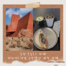 더모놀로그하우스 | 홍천 모놀로그 카페 방문기｜피라미드처럼 웅장한 대형 카페 데이트