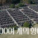 언니네로망