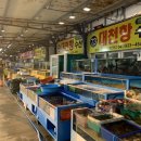 바다킹수산 이미지