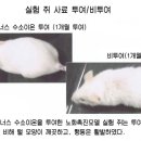 라온식품 네이버블로그
