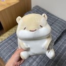 핫플레이스뽑기방 이미지