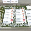 부산수산물 시사매거진