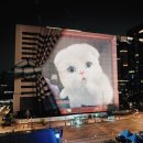 광고공사프로젝트