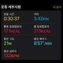 바나나잎 영양제 효능과 후기(당뇨 관리)