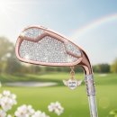 한번쳐볼까당구장 | 진주 골프샵 젝시오13 보다 저렴하게 마제스티 마루망SG로 세팅한 후기