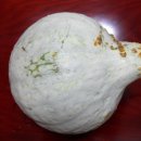 구구농장 이미지