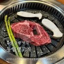 금왕정육