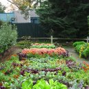 K씨의 꿈 이미지