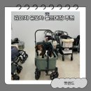 주식회사 빅에어소프트 | [오늘도 루시랑,] 부천 강아지유모차 할인매장, 피카고 유모차 시승 후기, 펫랜드👧🏻