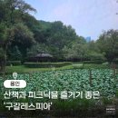 용인실내게이트볼장 | 용인피크닉 즐기기 좋은 구갈레스피아 산책코스, 주차장 넓고 놀이터까지 완벽해요