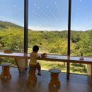 화산공작소 | 제주 공항 근처 아이랑 가볼 만한 곳 국립제주박물관 어린이박물관 이용후기