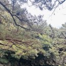 예촌골성문맛집