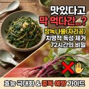 (주)라미드 | 장녹나물 효능 3가지와 자리공나물 독성 제거하는 72시간 조리법