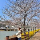 모리씨 빵가게 이미지